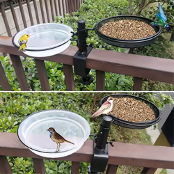 Bird Feeder - 2-in-1 Bird Bath And Feeder With Balcony Bracket