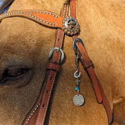 Saddle and bridle charm clip, saddle and bridle charm clip, A