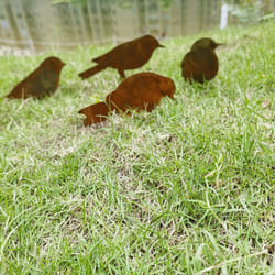 Rusty Birds Decoration, Metal Birds Statues Garden Fence Decor B