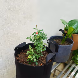 Heavy Duty Fabric Pots,Vegetable/Flower/Plant Grow Bags