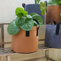 Heavy Duty Fabric Pots,Vegetable/Flower/Plant Grow Bags