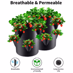 5 gallon Strawberry growing bags, plant growing bags