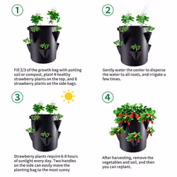 5 gallon Strawberry growing bags, plant growing bags