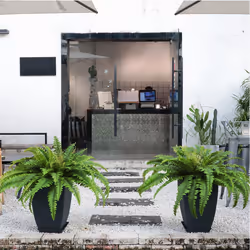 Artificial Ferns for Outdoors & Indoors, Large Faux Ferns,B