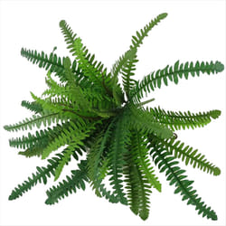 Artificial Ferns for Outdoors & Indoors, Large Faux Ferns,A