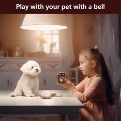 Shopkeepers Bell, Decorative Fridge Magnets