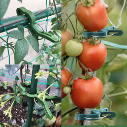 Plant Support Clips, Secured Plastic Plant Clips