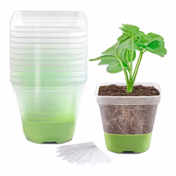 12 Packs 3 Inch Square Plastic Nursery Pots, Clear Plant Pot