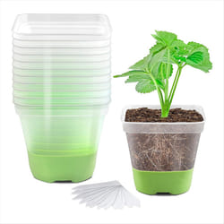 12 Packs 3 Inch Square Plastic Nursery Pots, Clear Plant Pot