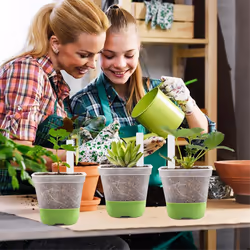 12 Packs 3 Inch Square Plastic Nursery Pots, Clear Plant Pot
