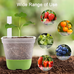 12 Packs 3 Inch Square Plastic Nursery Pots, Clear Plant Pot