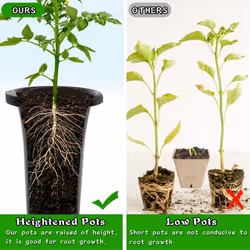 10Pcs Plastic Deep Plant Nursery Pots, Thick Stable Tall Tree Pots