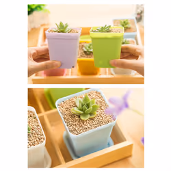 Mini colorful flower pots, plastic flower pots