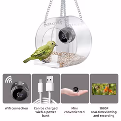 Smart bird feeder with camera