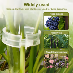 300 PCS Plant Clips for Climbing Plants Transparent Plant Clips