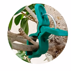 Secured Plastic Plant Clips, Plant Support Clips Plant Clips, A