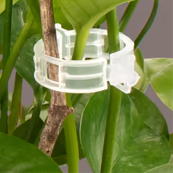2000Pcs Garden Clips For Vine , Climbing Plants