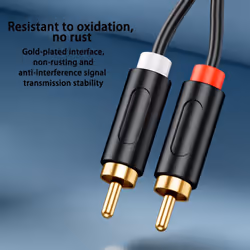 AV100C for Audio Isolator Common Ground Noise Filter