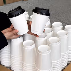 Double-Layer Disposable Coffee Cups with Lids, Insulated Paper Cups