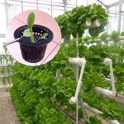 Plastic Fixing Basket Gardening Soilless Slotted Mesh Plant Cups