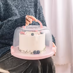 Home Cake Box Dust Proof Plastic Pastry Storage Boxes Carrier