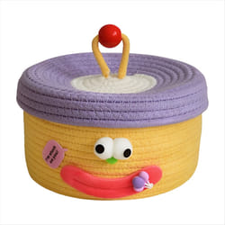 Desktop Storage Basket with Lid Woven Snack Storage Basket C