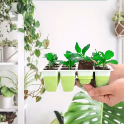 Seedling Trays, Silicone Houseplant Growing Trays, Set of 5