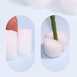 Hydroponic Gardening Tools White Vegetable Planting Sponge 50mmx30mm