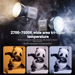 60W Pro Portable COB Photographic Studio Light EU Plug