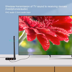 Wireless Audio Music Transmitter and Receiver for DVD TV Computer CD