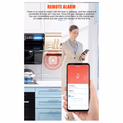 Tuya Smart Zigbee Natural GasandCarbon Monoxide Sensor Valve