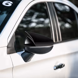 1Pair Car Exterior Rearview Door Mirror Cover A