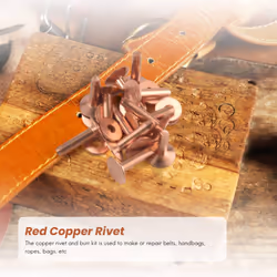 Rivet and Burr with Burr Setter Rivet Fastener Install