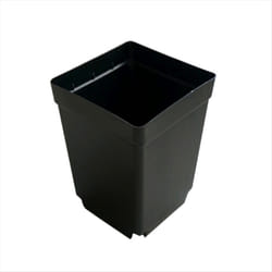 100PCS Plant Disposable Flower Pot Small Black Square Plastic