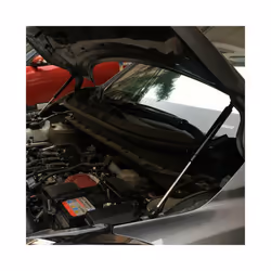 2X Front Hood Lift Supports Shock for