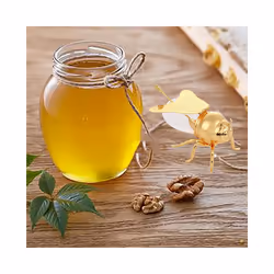 Bee Honey Containers with Dipper for Storage Gold
