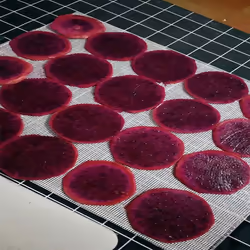 Dehydrator Sheet for Food Dehydrator,10 Pcs 29X37cm