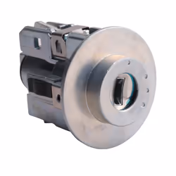 Ignition Lock Cylinder with 2 Keys for