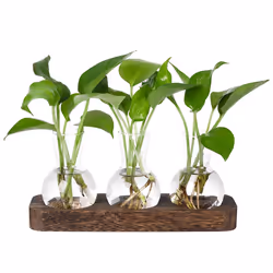 Plant Propagation Stations Glass Vase with Tray Bulb Flower Vase Deco