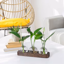 Plant Propagation Stations Glass Vase with Tray Bulb Flower Vase Deco