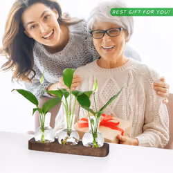 Plant Propagation Stations Glass Vase with Tray Bulb Flower Vase Deco