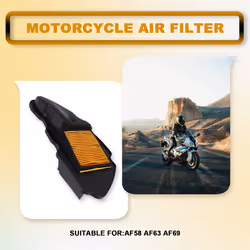 Motorcycle Intake Air Filter for RUCKUS Metro AF58