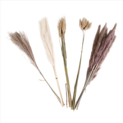 40Pieces 45cm Natural Dried White Bunny Dust Pampas Grass Plant Decor