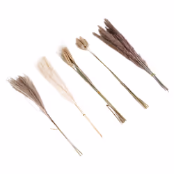 40Pieces 45cm Natural Dried White Bunny Dust Pampas Grass Plant Decor