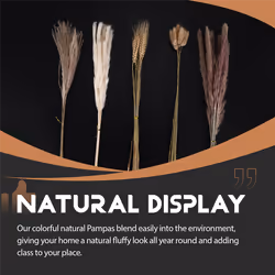 40Pieces 45cm Natural Dried White Bunny Dust Pampas Grass Plant Decor