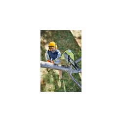 Ryobi ONE+ 18V RPP182020 Cordless Pole Pruner, 20cm Bar (with 1x2.0Ah Battery)