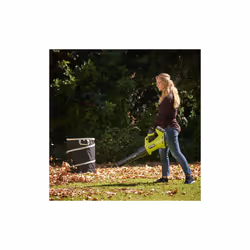 Ryobi Pop Up Lawn Bag - RAC368