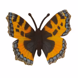CollectA Small Tortoiseshell