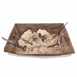 4M Dig a Triceratops Skeleton