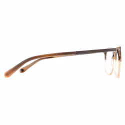 Ted Baker Glasses Frames TB8219 Archer 102 Brown Horn Men